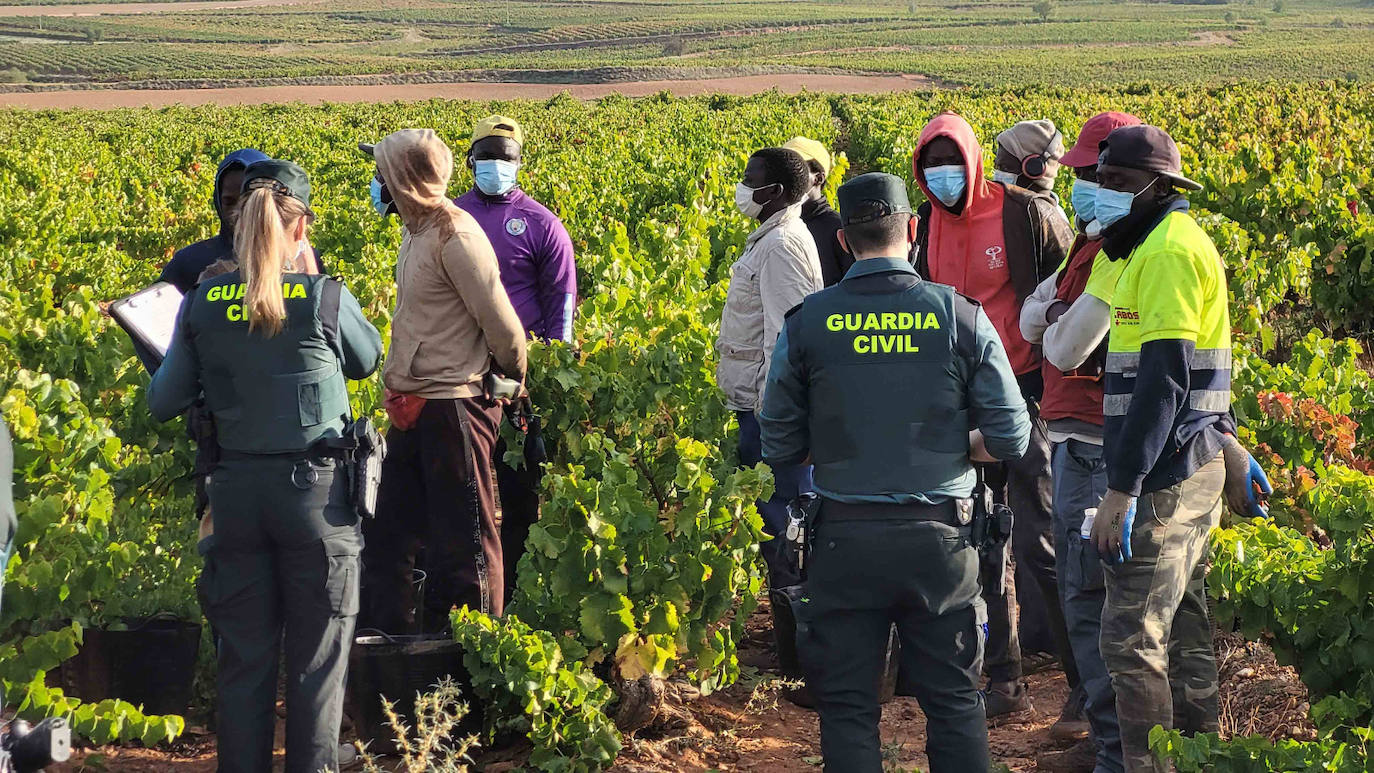 La Guardia Civil en La Rioja intensifica las actuaciones contra la explotación laboral y la trata de personas durante la vendimia.