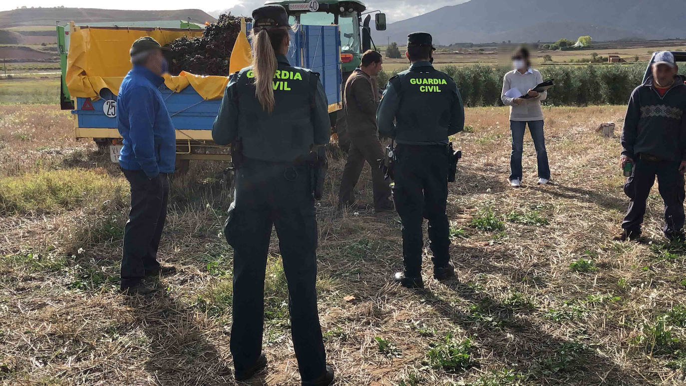 La Guardia Civil en La Rioja intensifica las actuaciones contra la explotación laboral y la trata de personas durante la vendimia.