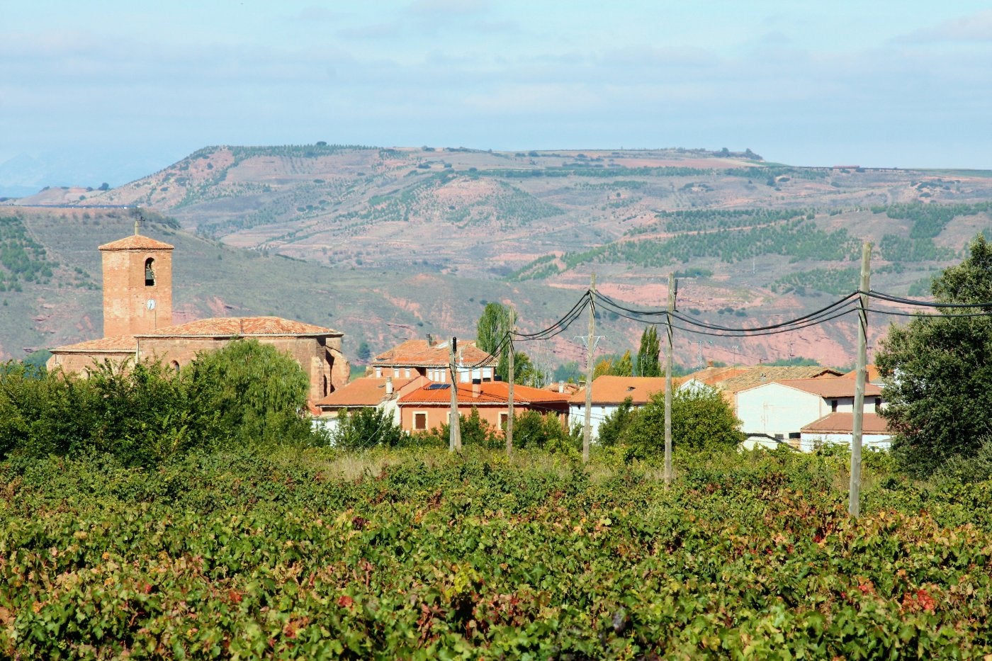 Vista panorámica de la localidad de Alesón. 