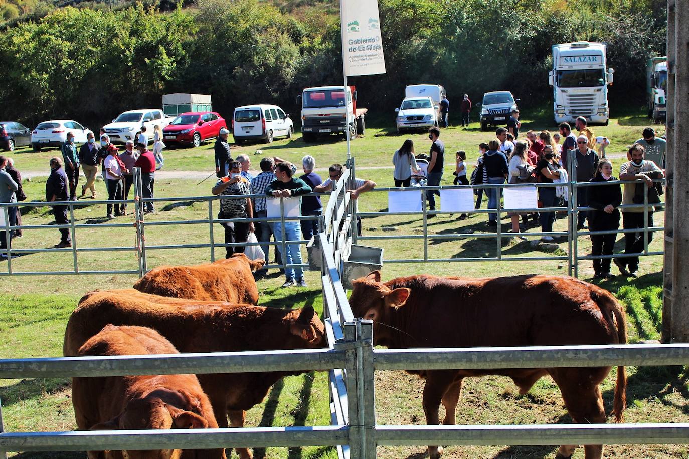 Fotos: Feria de Ganado Selecto del Camero Nuevo