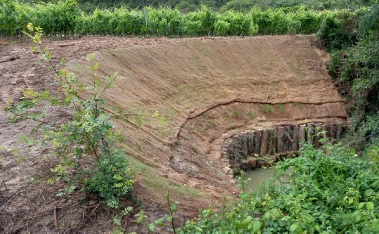 Ladera restaurada del río Mayor, con una hilera de troncos y tierra, cerca de uno de los viñedos de Elciego. 