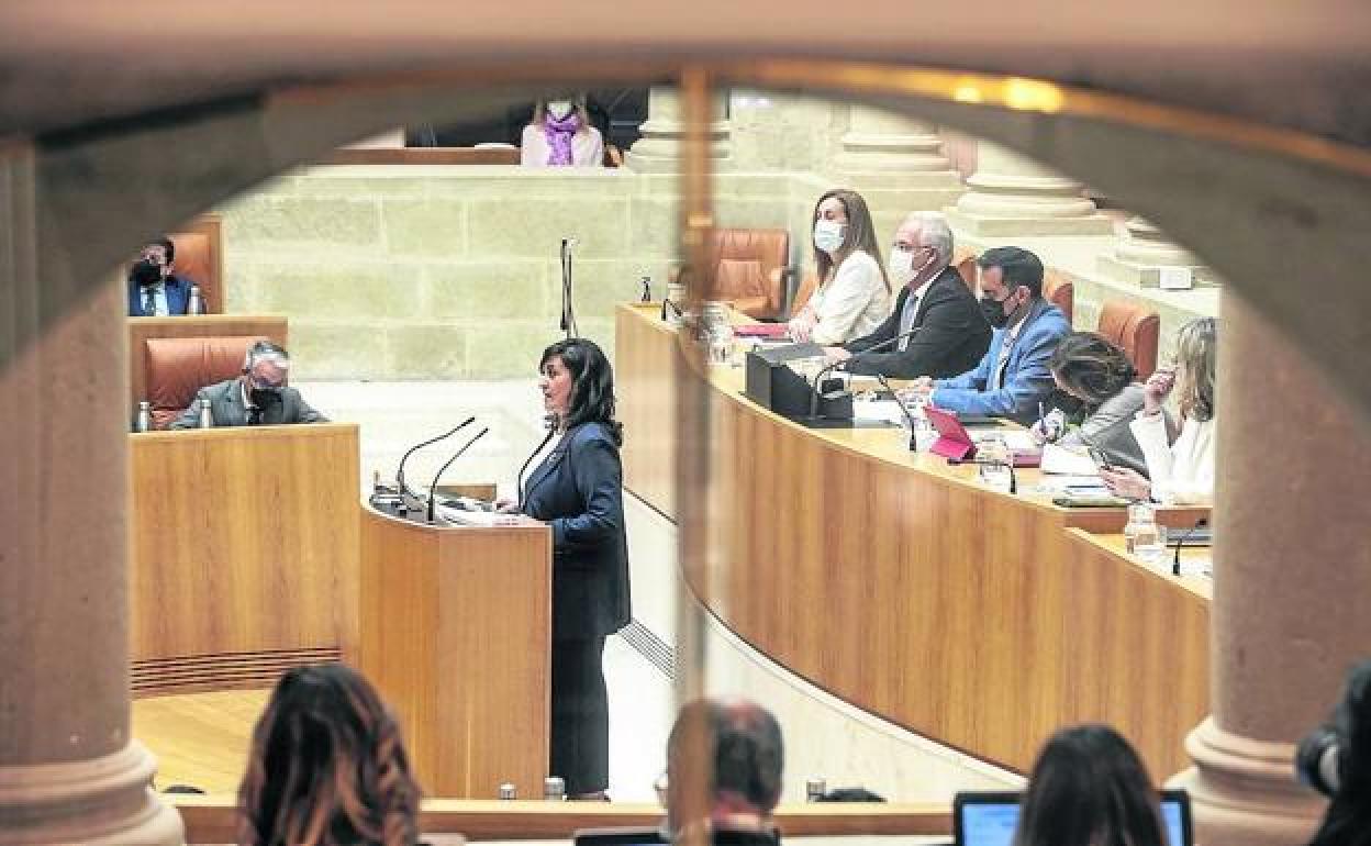 Concha Andreu, en el último pleno. 