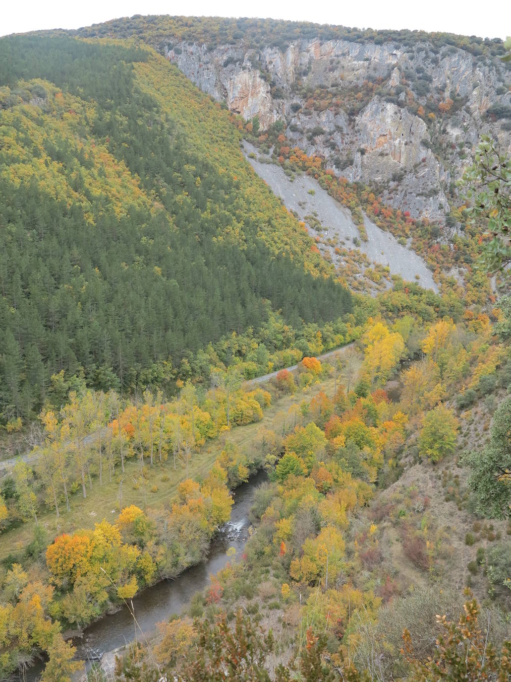 Fotos: El otoño en Los Cameros