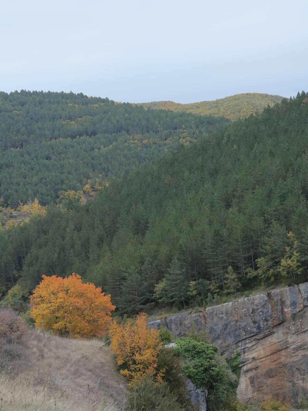 Fotos: El otoño en Los Cameros