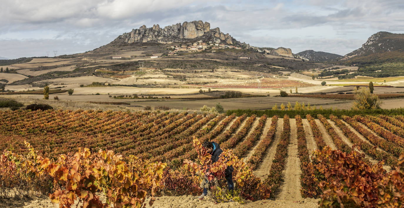 Fotos: El otoño transforma el paisaje de La Rioja