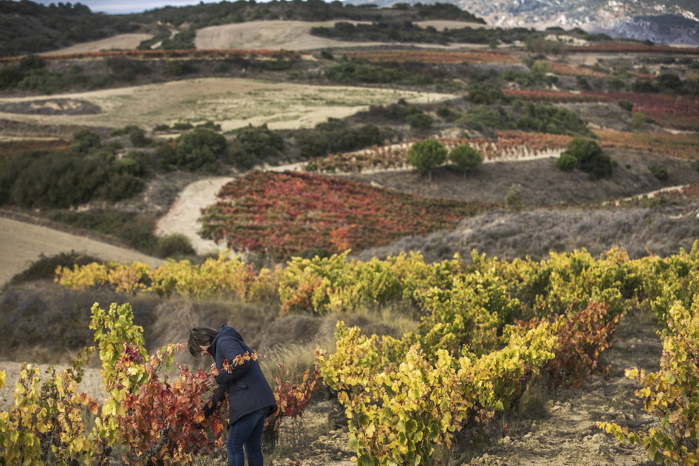 Fotos: El otoño transforma el paisaje de La Rioja