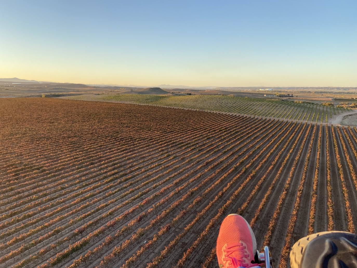 Fotos: Vuelo sobre Alfaro en paramotor