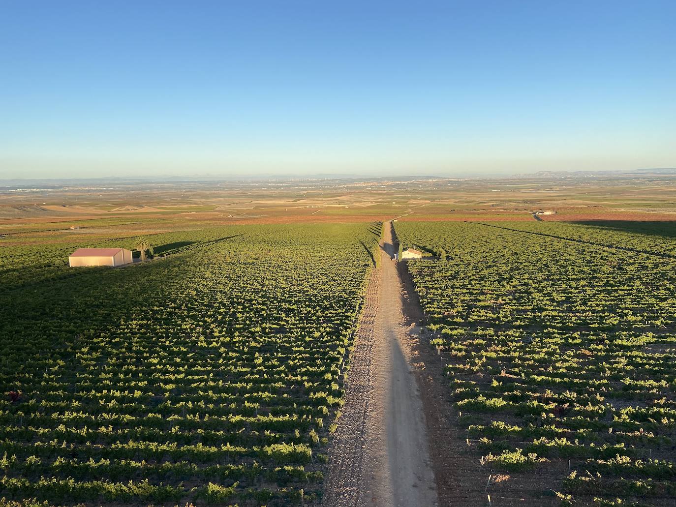 Fotos: Vuelo sobre Alfaro en paramotor