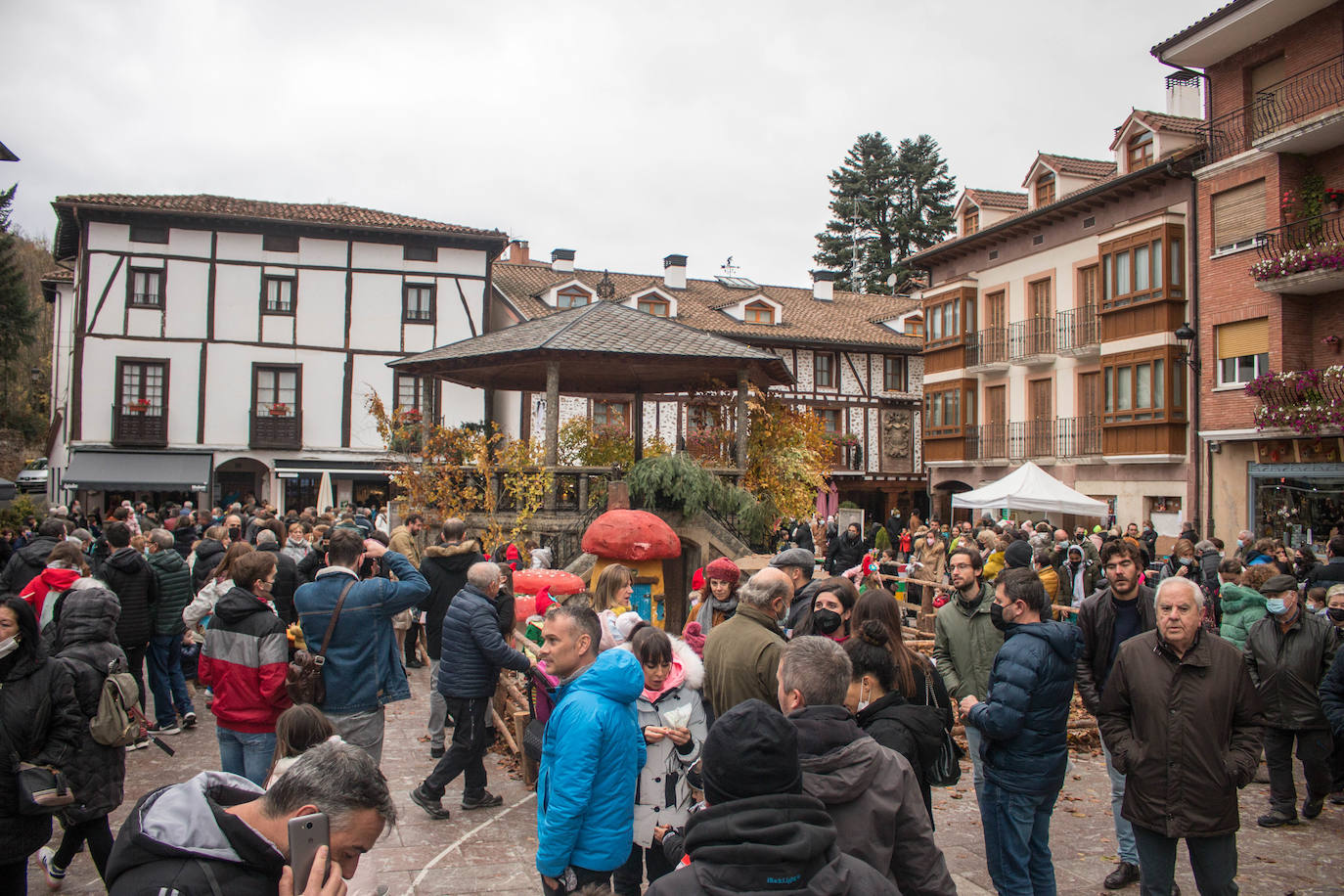 Fotos: Las jornadas micológicas de Ezcaray, en imágenes