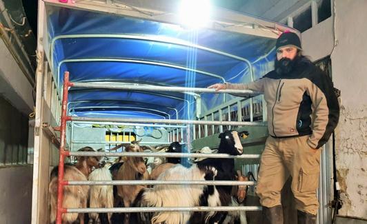 Felipe posa con sus últimas cabras en el matadero de Logroño. 