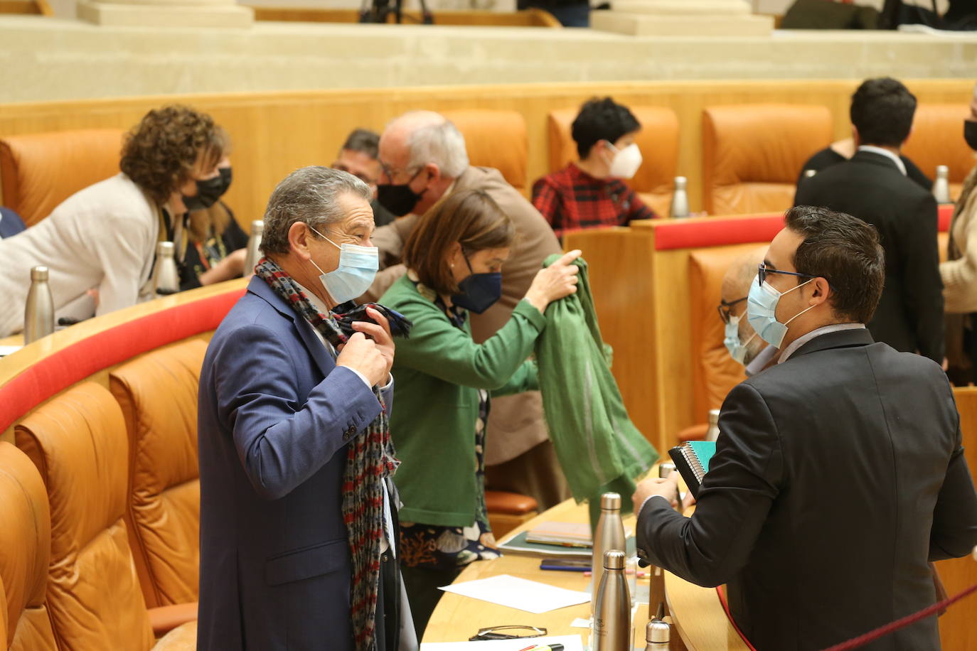 Imágenes de los diputados en la sesión de la cámara riojana del 11 de noviembre