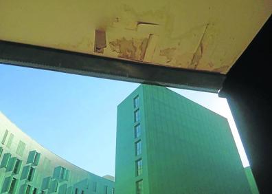 Imagen secundaria 1 - La desventura de ser inquilino en Toyo Ito