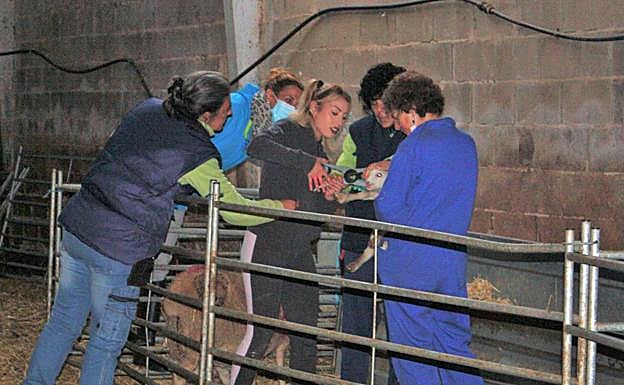 Las pastoras, con las veterinarias. 