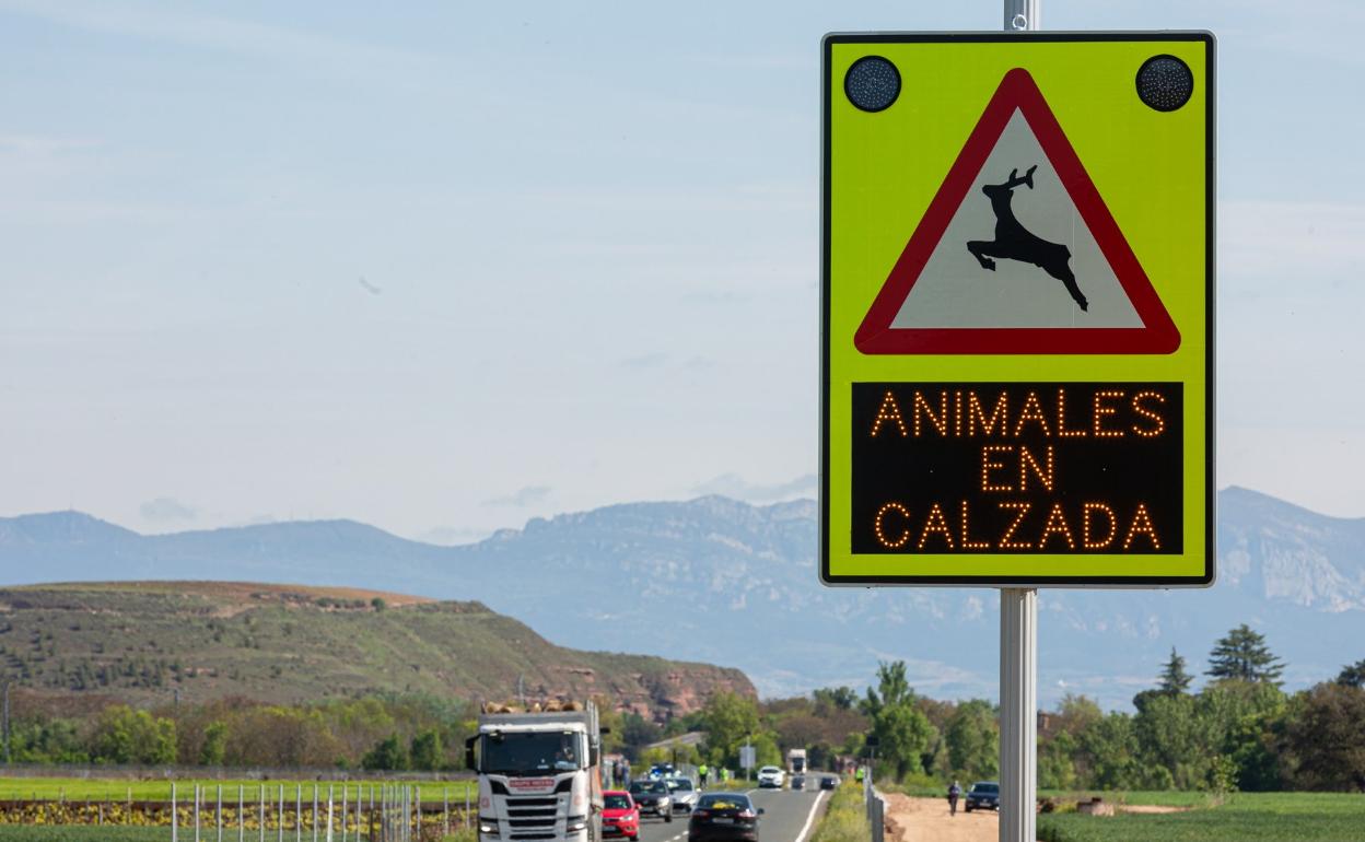 Señal indicativa de peligro de animales en la calzada en la LR-113. 