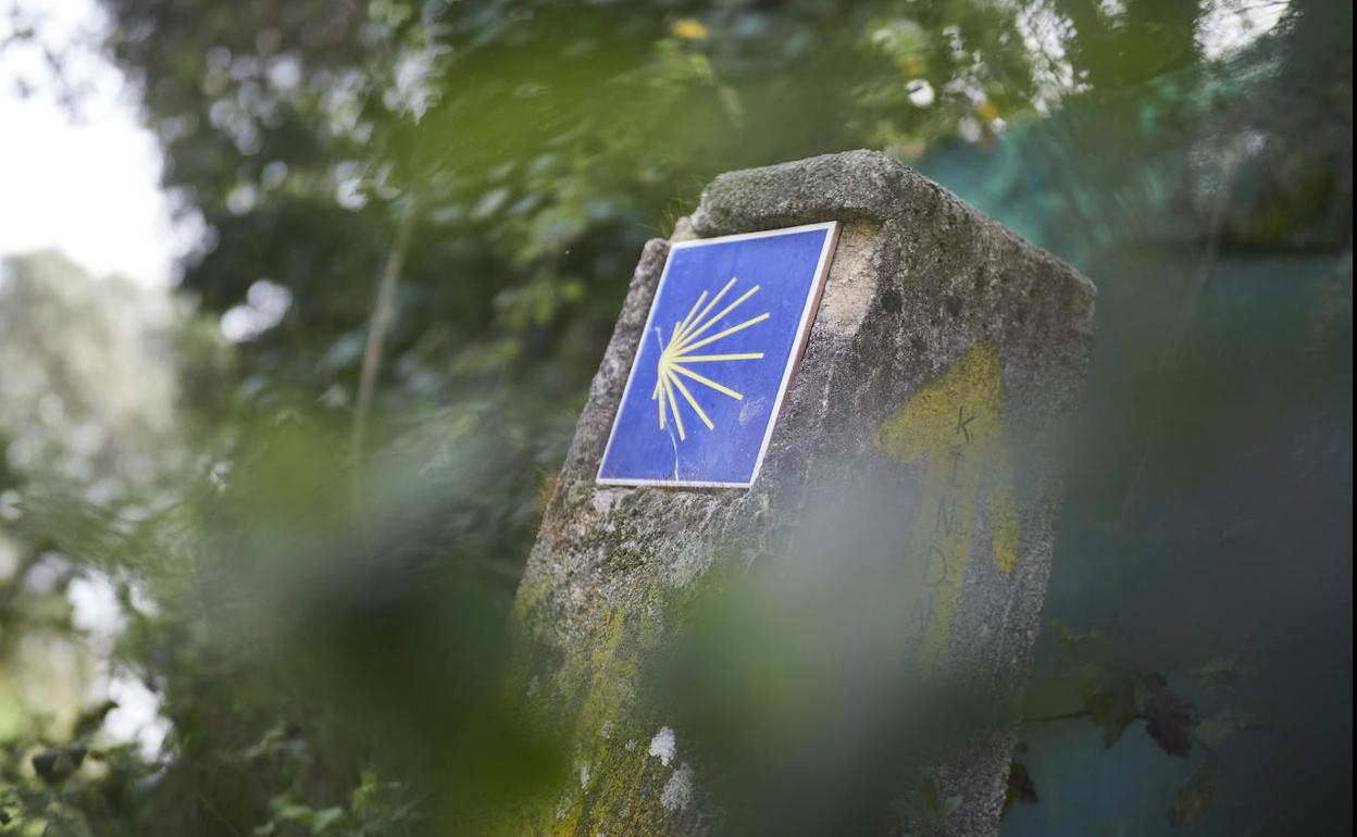 Un punto del Camino de Santiago. 