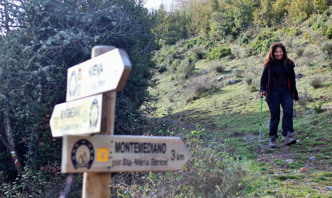 El paseo por Nieva de Cameros tiene carácter benéfico