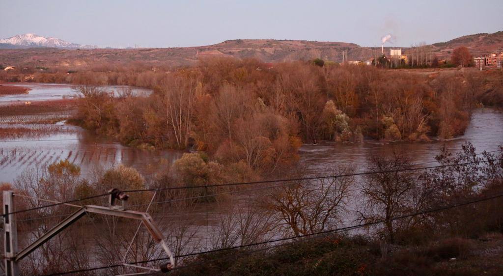 La orilla alavesa del Ebro cerca de Cenicero