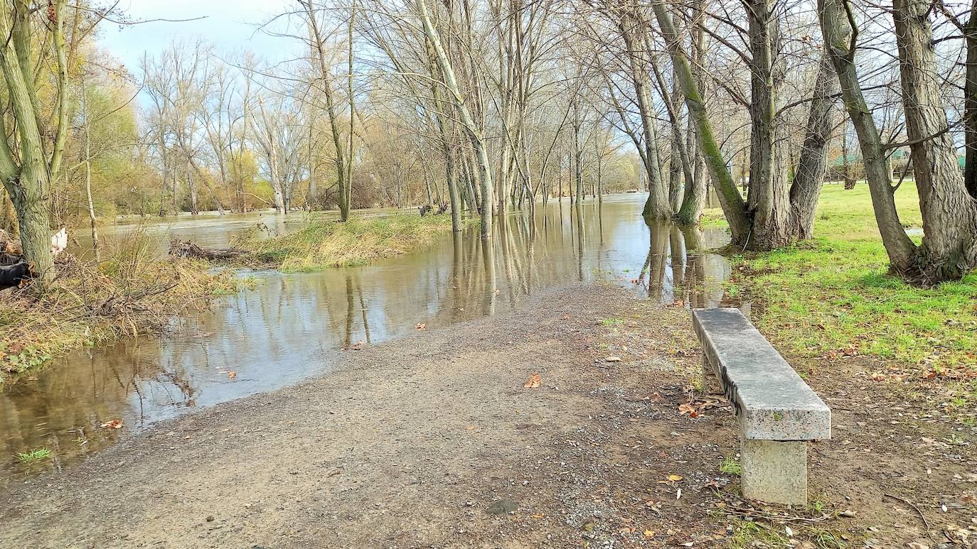 Desembocadura del Iregua, en Logroño.