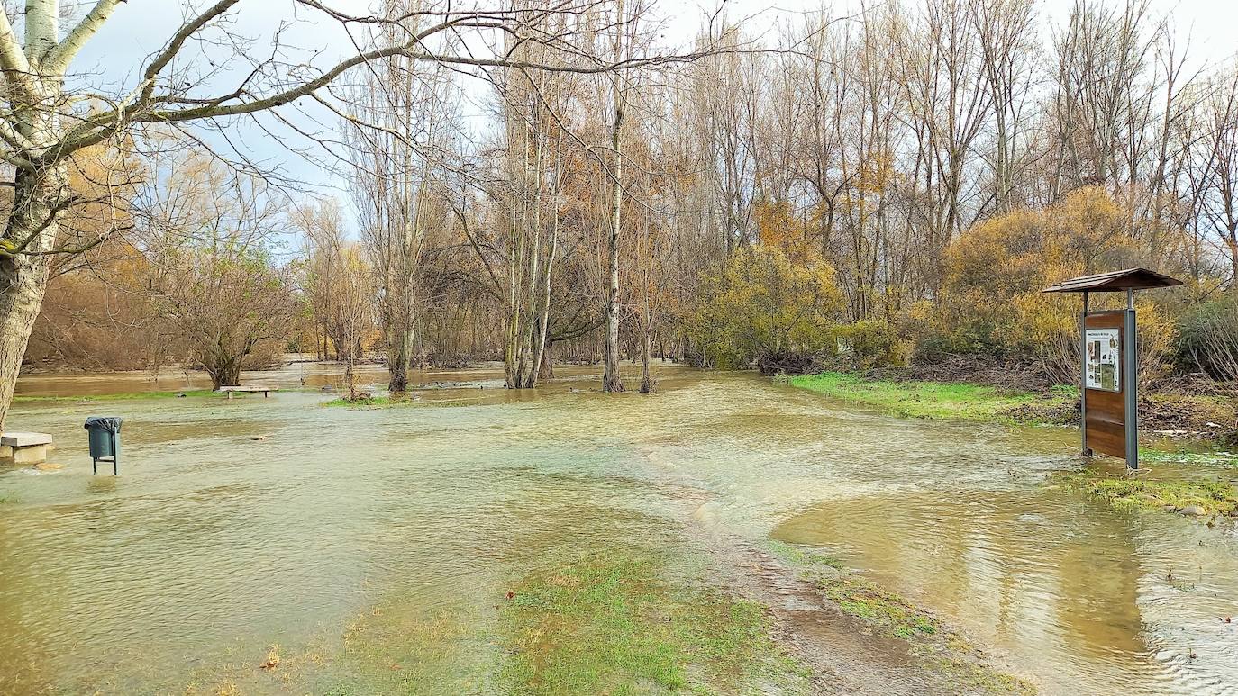 Desembocadura del Iregua, en Logroño.