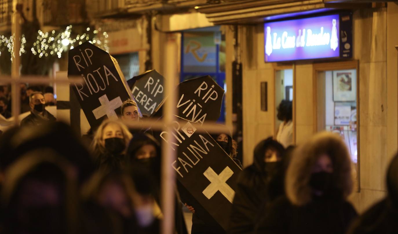 Fotos: La protesta contra las eólicas recorre las calles de Logroño