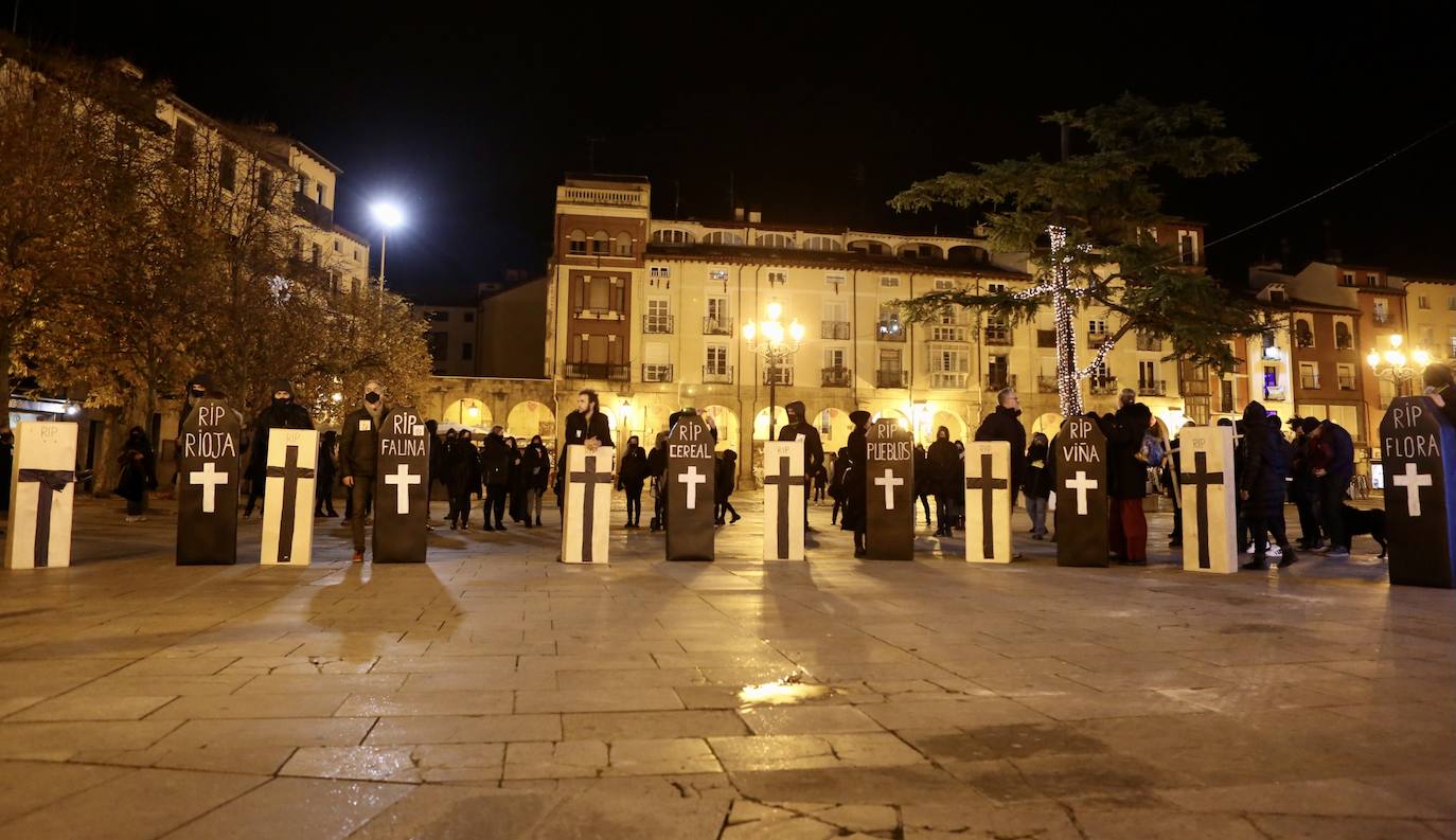 Fotos: La protesta contra las eólicas recorre las calles de Logroño