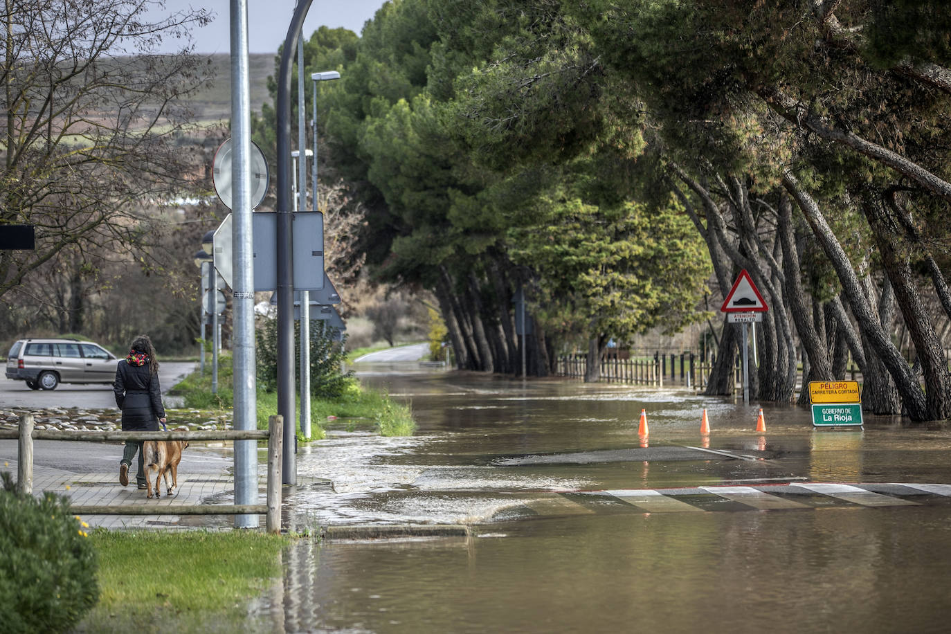 Fotos: Las espectaculares imágenes del río en Logroño