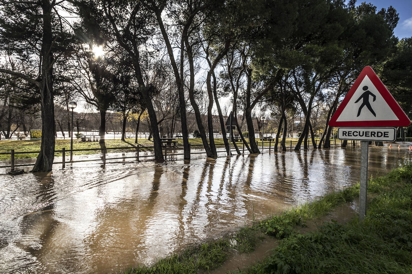 Fotos: Las espectaculares imágenes del río en Logroño