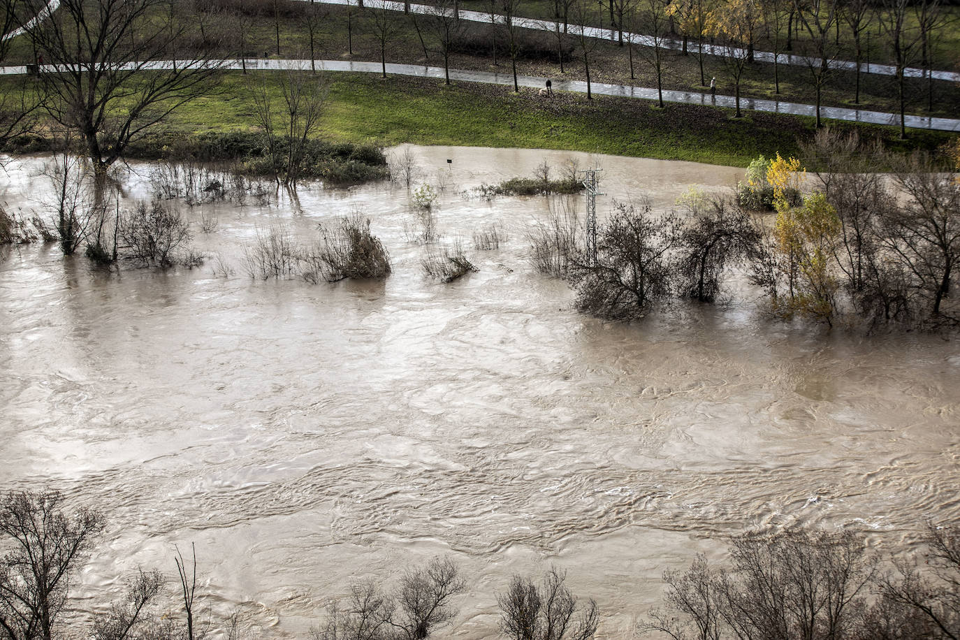 Fotos: Las espectaculares imágenes del río en Logroño