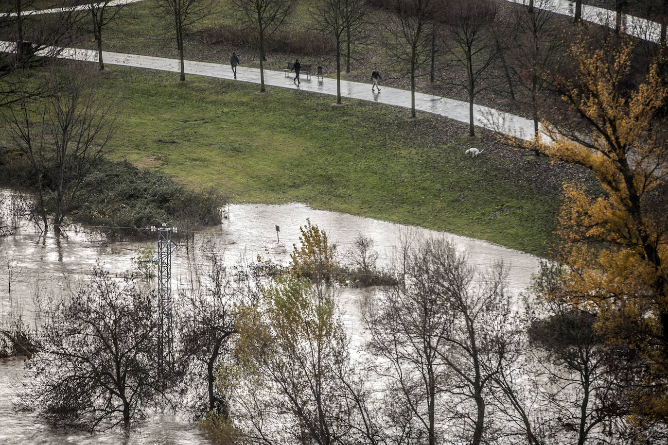 Fotos: Las espectaculares imágenes del río en Logroño