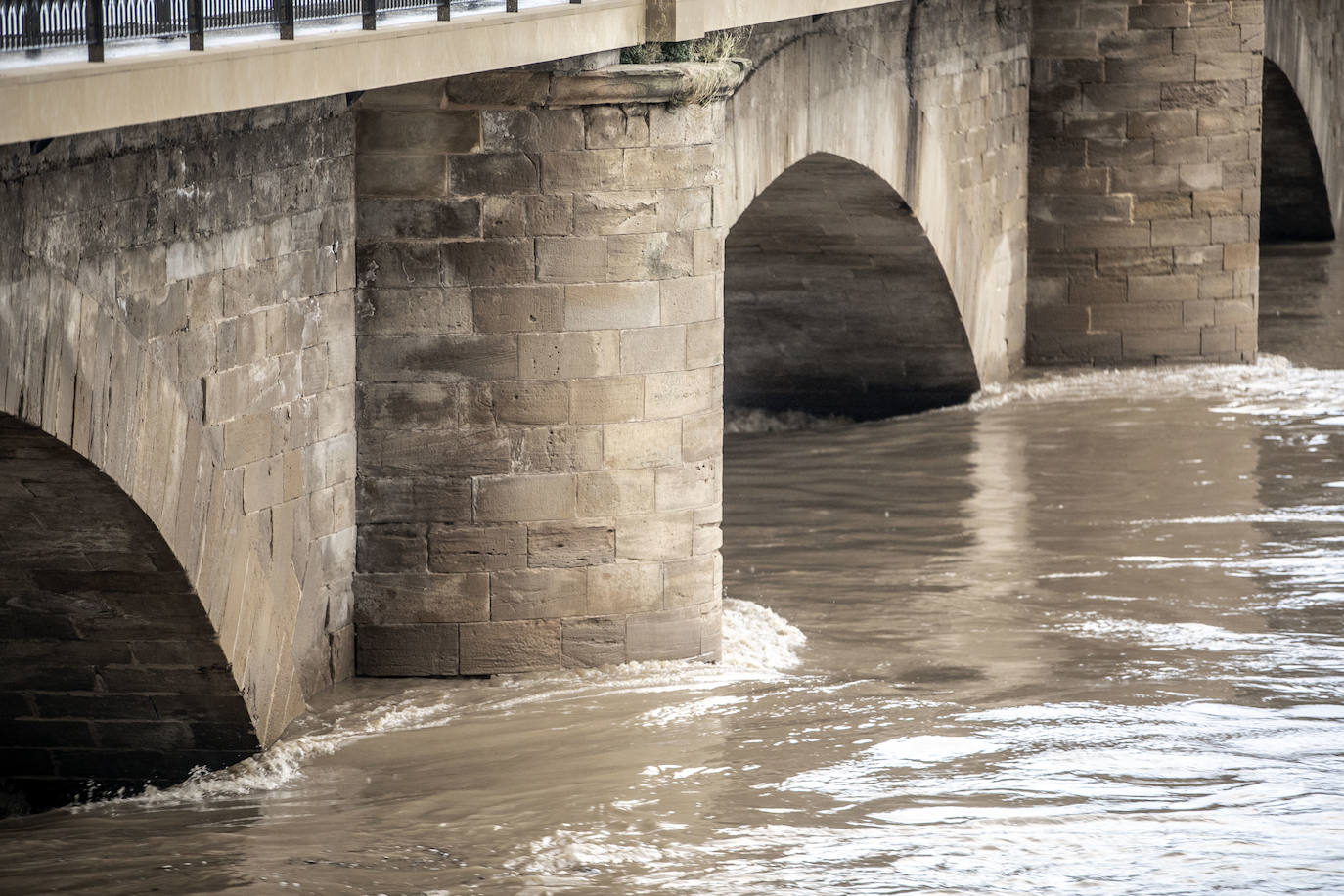 Fotos: Las espectaculares imágenes del río en Logroño