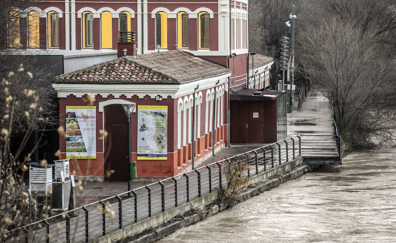 Fotos: Las espectaculares imágenes del río en Logroño