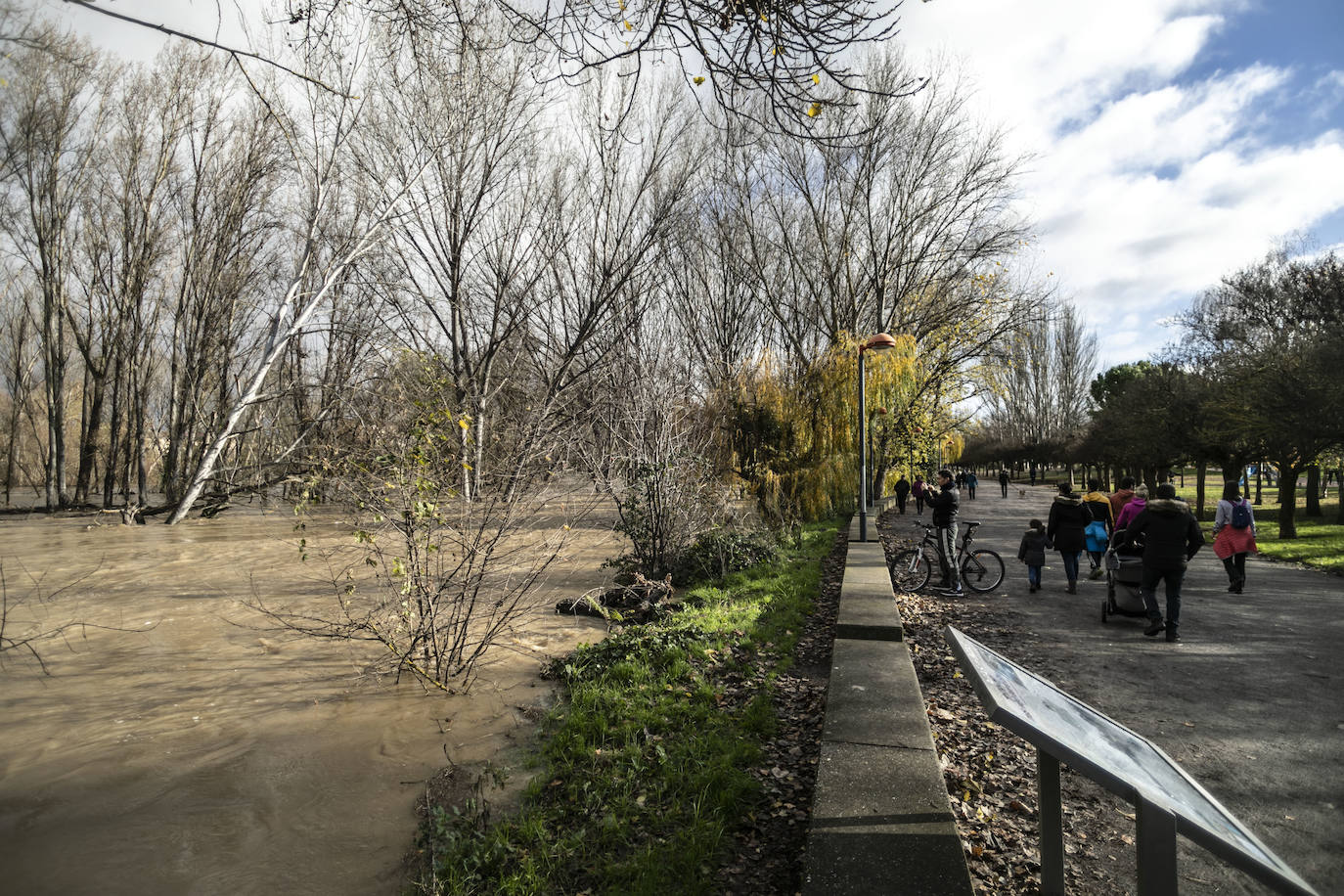 Fotos: Las espectaculares imágenes del río en Logroño