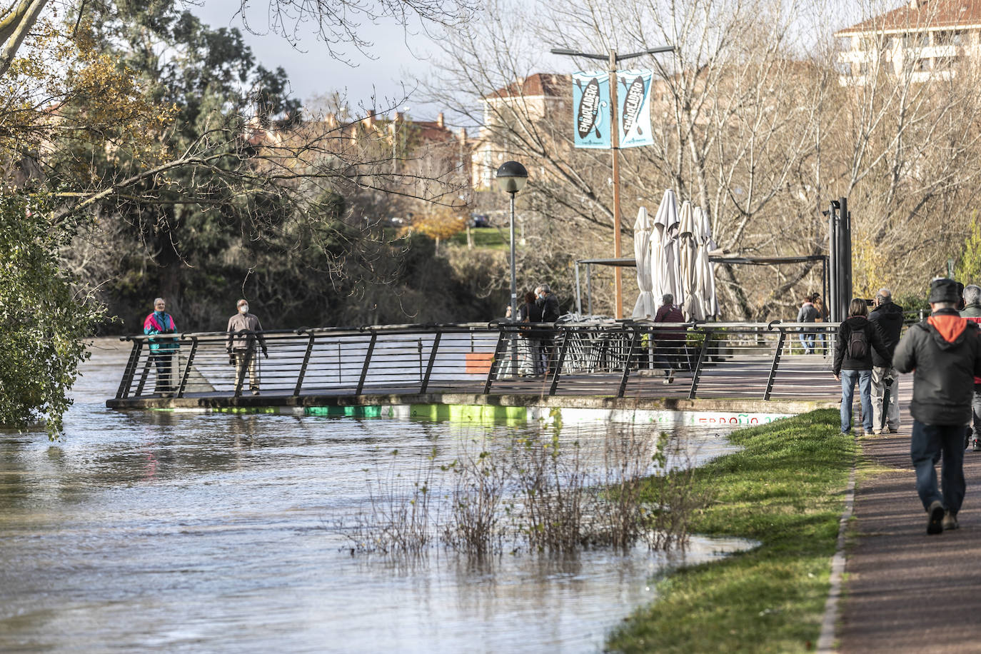 Fotos: Las espectaculares imágenes del río en Logroño