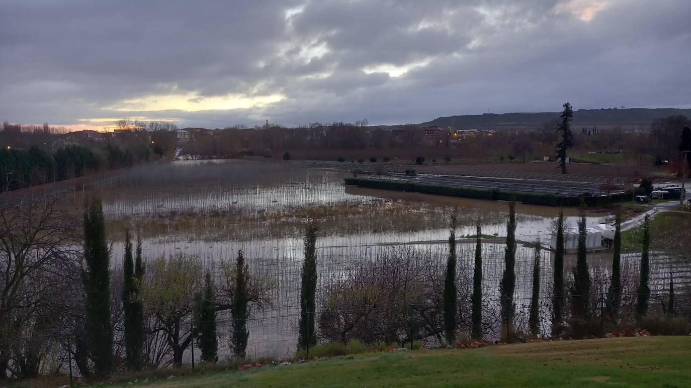 Fotos: Los daños causados por la crecida del Ebro en Logroño