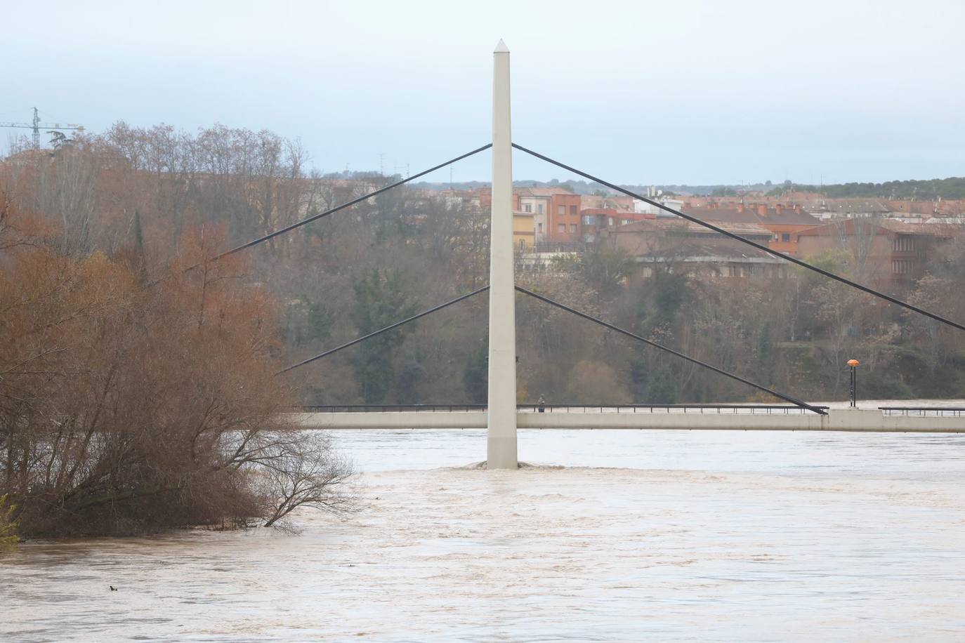 Fotos: Los daños causados por la crecida del Ebro en Logroño