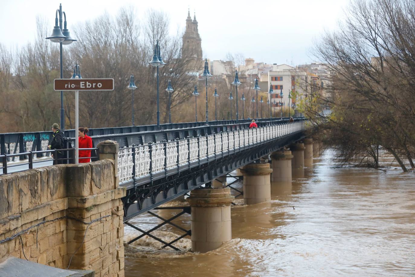 Fotos: Los daños causados por la crecida del Ebro en Logroño