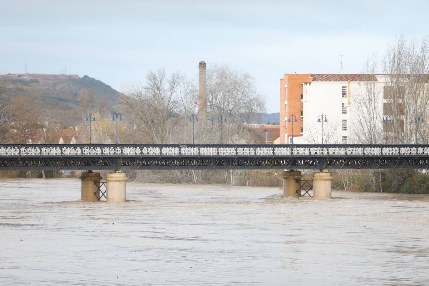 Fotos: Los daños causados por la crecida del Ebro en Logroño