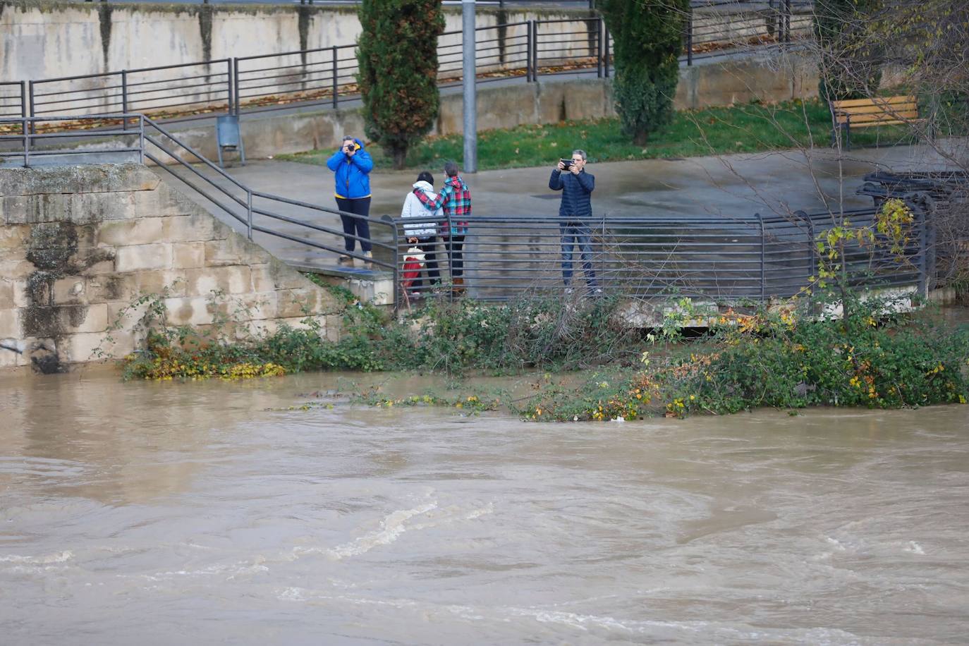 Fotos: Los daños causados por la crecida del Ebro en Logroño