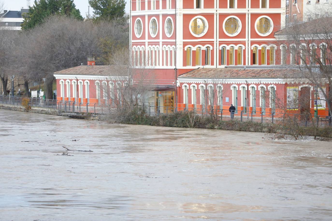 Fotos: Los daños causados por la crecida del Ebro en Logroño