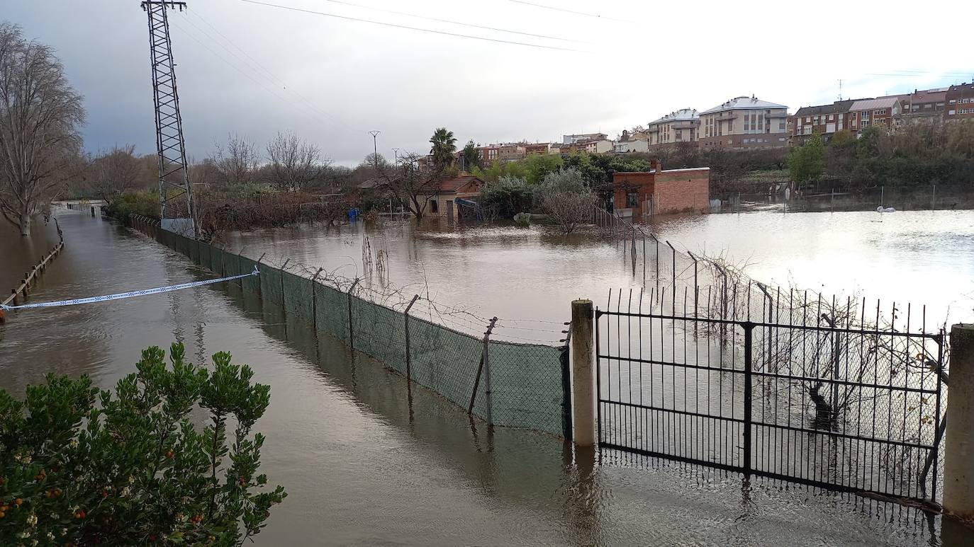 Fotos: Los daños causados por la crecida del Ebro en Logroño