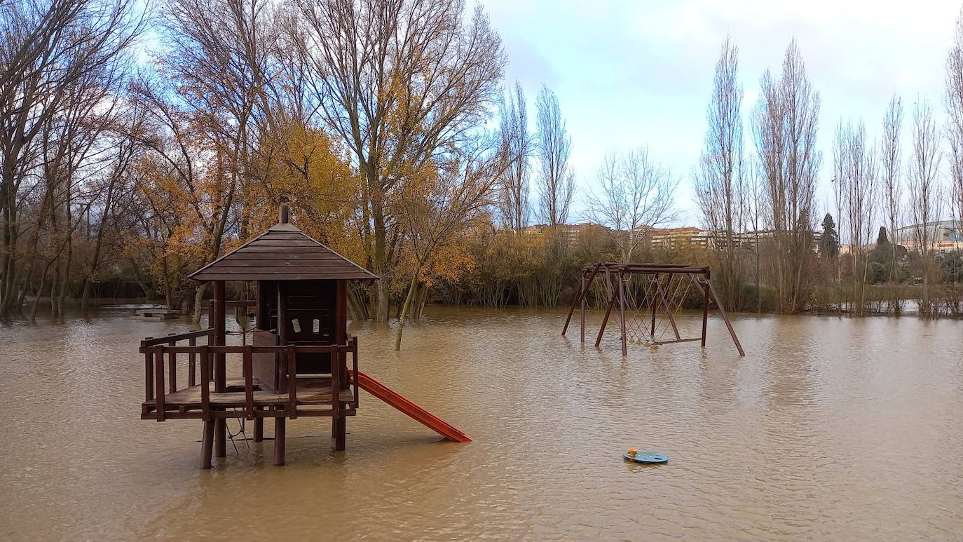 Fotos: Los daños causados por la crecida del Ebro en Logroño