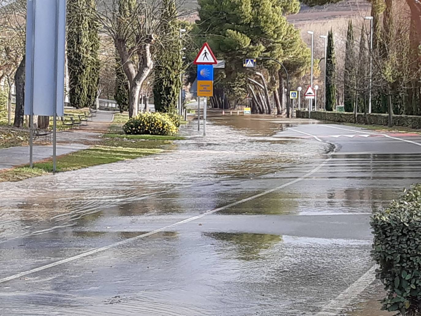 Fotos: Los daños causados por la crecida del Ebro en Logroño