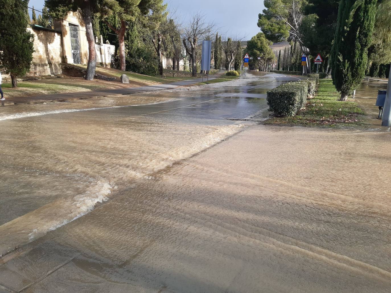 Fotos: Los daños causados por la crecida del Ebro en Logroño