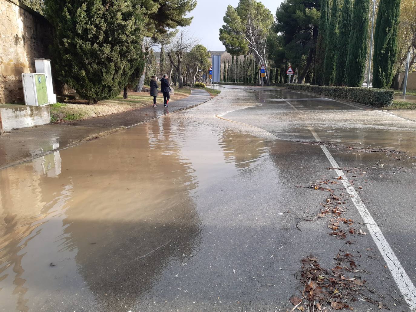 Fotos: Los daños causados por la crecida del Ebro en Logroño