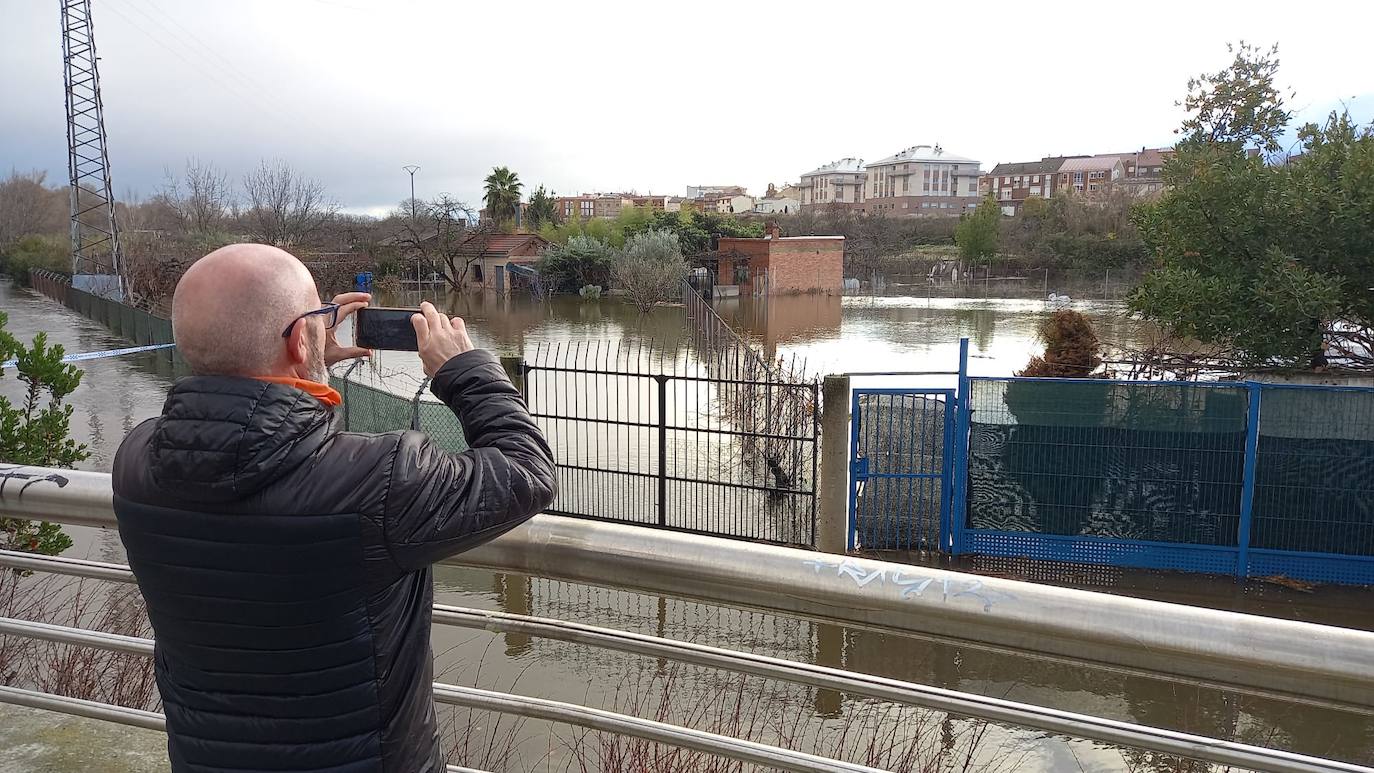 Fotos: Los daños causados por la crecida del Ebro en Logroño