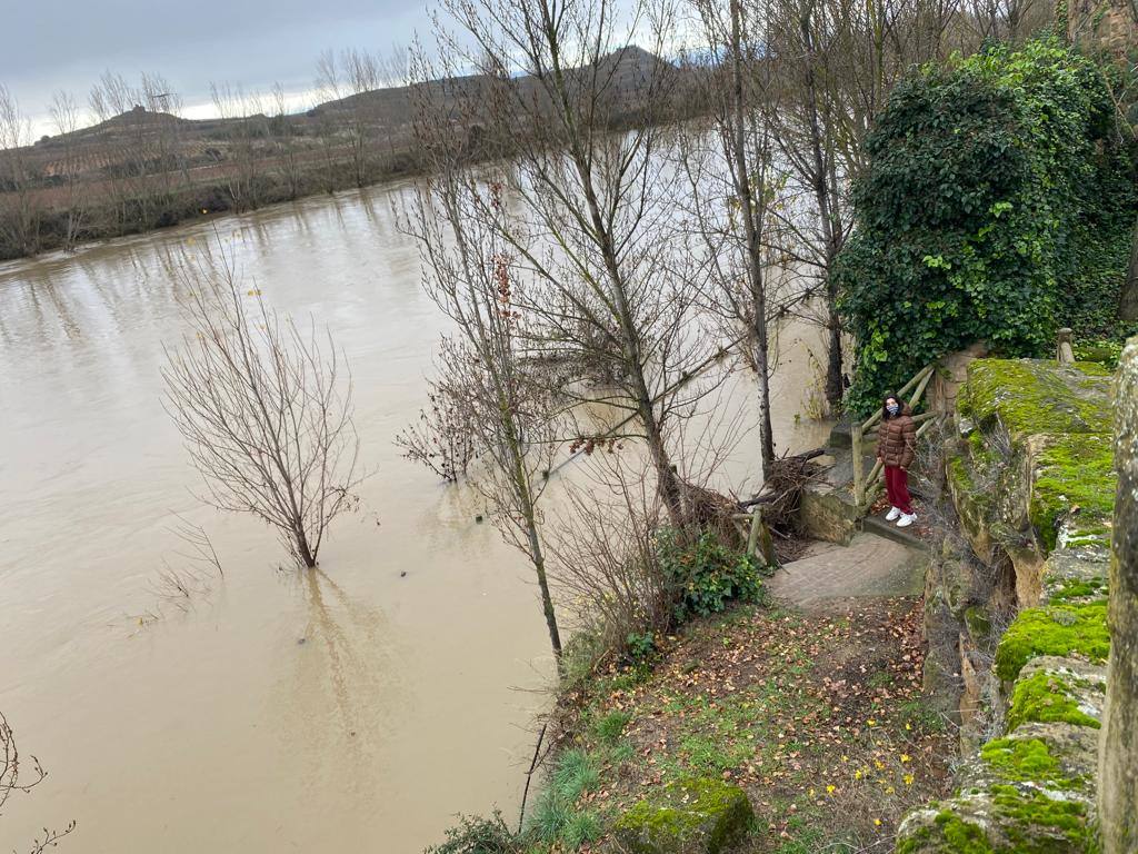 El Ebro a su paso por Briñas