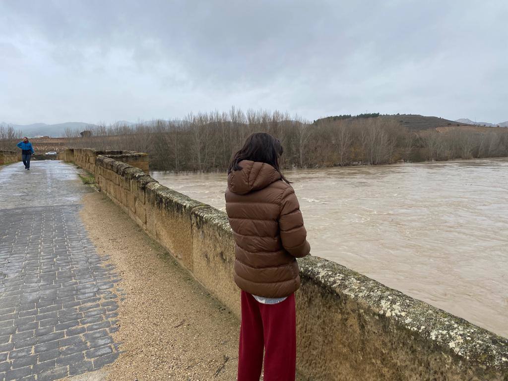 El Ebro a su paso por Briñas