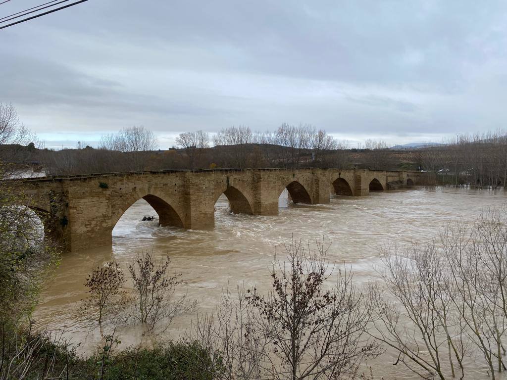 El Ebro a su paso por Briñas