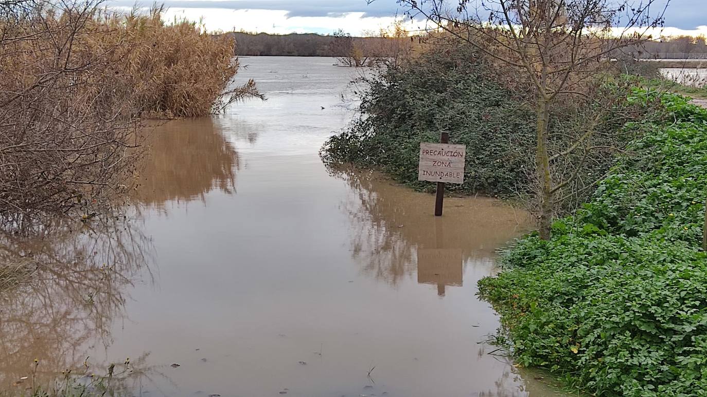 El Ebro a su paso por Alfaro