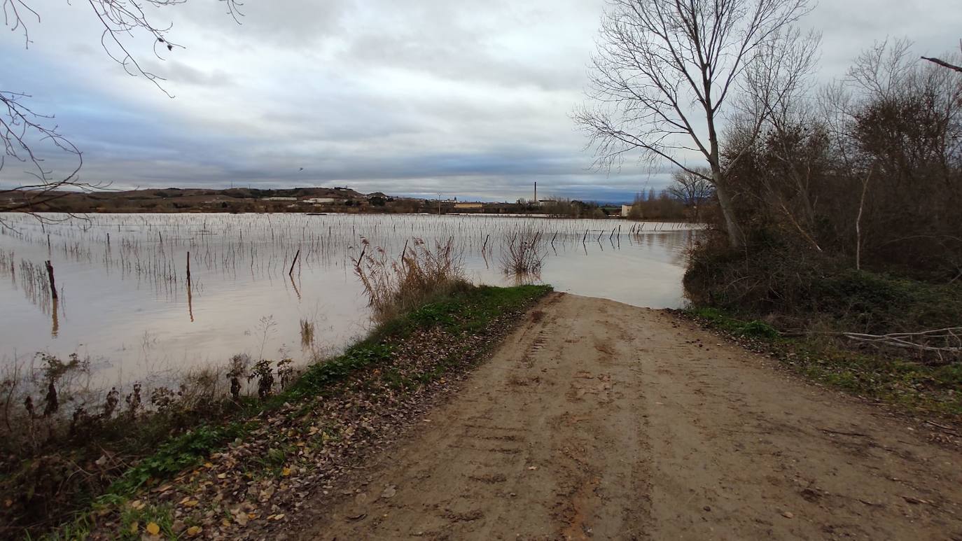 El Ebro a su paso por Alfaro